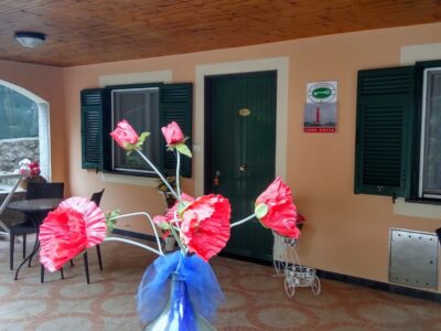 Stella Polare foto (1)